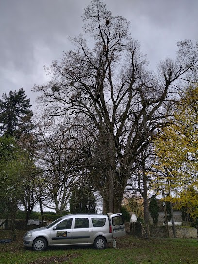 Solutions Natures 87, Désinsectiseur et Dératiseur à Saint-Priest-Ligoure