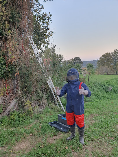 Abellon - Guêpes Et Frelons Désinsectiseur - Dératiseur à Parbayse