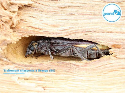 PAMI 12 - Traitement Bois - Termites, Désinsectiseur et Dératiseur à Saint-Christophe-Vallon