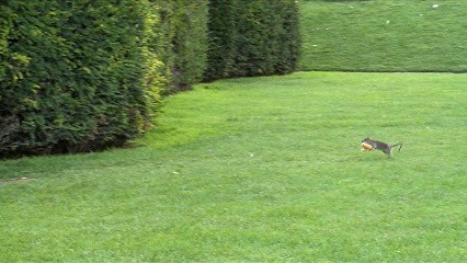 GN3D Dératisation Désinsectisation, Désinsectiseur et Dératiseur à Bollène