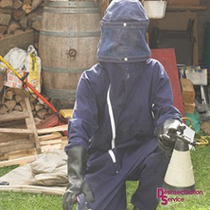 Desinsectisation Service, Désinsectiseur et Dératiseur à Pontault-Combault