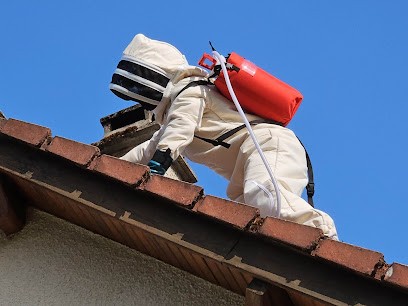 Tous Nuisibles Lorraine - Destruction Nid De Guêpes Et Frelons, Dératisation, Punaise De Lit, Cafards, Dans Le 54, 57, 88, Désinsectiseur et Dératiseur à Bouxières-aux-Chênes