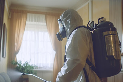 Hygiène Service Plus : Désinsectisation Saint-Gratien, Dératisation, Anti-Nuisibles, Désinsectiseur - Dératiseur à Saint-Gratien
