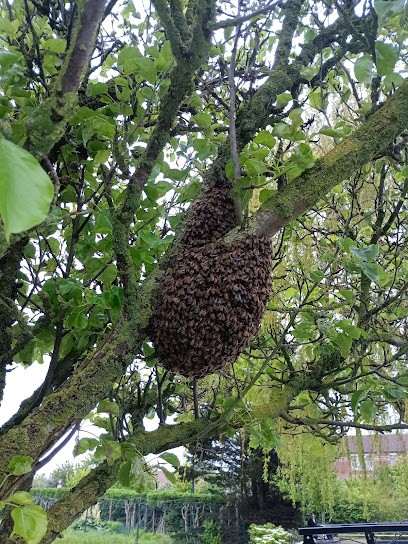 Fm.Nuisible, Désinsectiseur et Dératiseur à Rouvroy