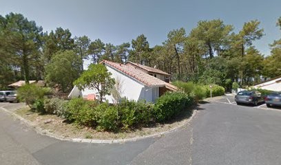 Chasseur De Tigres, Désinsectiseur et Dératiseur à Seignosse