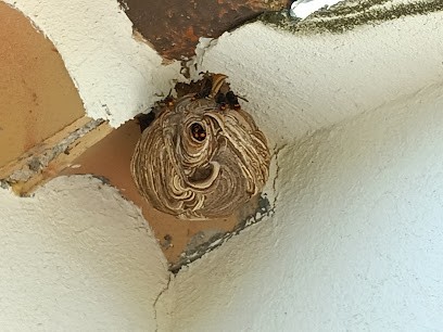 FL3D, Désinsectiseur et Dératiseur à La Garde-Freinet