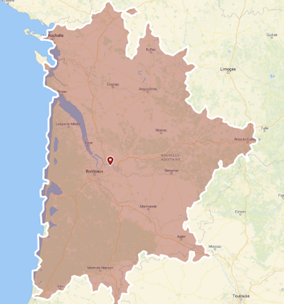 Rapid Frelons Guepes - Destruction Nid De Frelons, Guêpes Et Fourmis Gironde/Aquitaine Désinsectiseur - Dératiseur à Izon