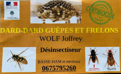 Dard Dard Guêpes Et Frelons, Désinsectiseur - Dératiseur à Basse-Ham