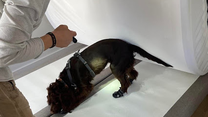 Mk Détection Canine Punaises De Lit Désinsectiseur - Dératiseur à Paris 11