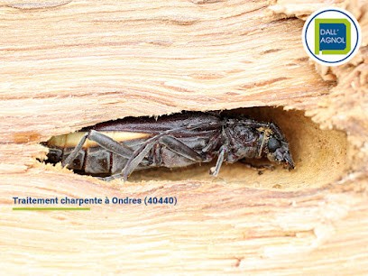 DALL'AGNOL, Désinsectiseur et Dératiseur à Anglet