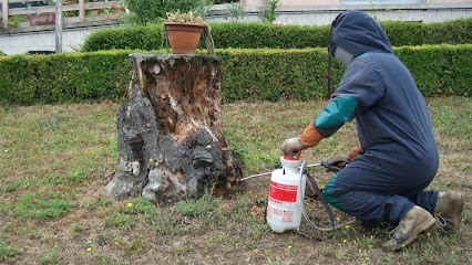 Stop Guêpes 02, Désinsectiseur et Dératiseur à Tartiers