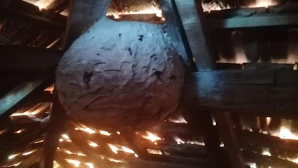 PRIOUZEAU PRO NUISIBLES, Désinsectiseur et Dératiseur à Reignac